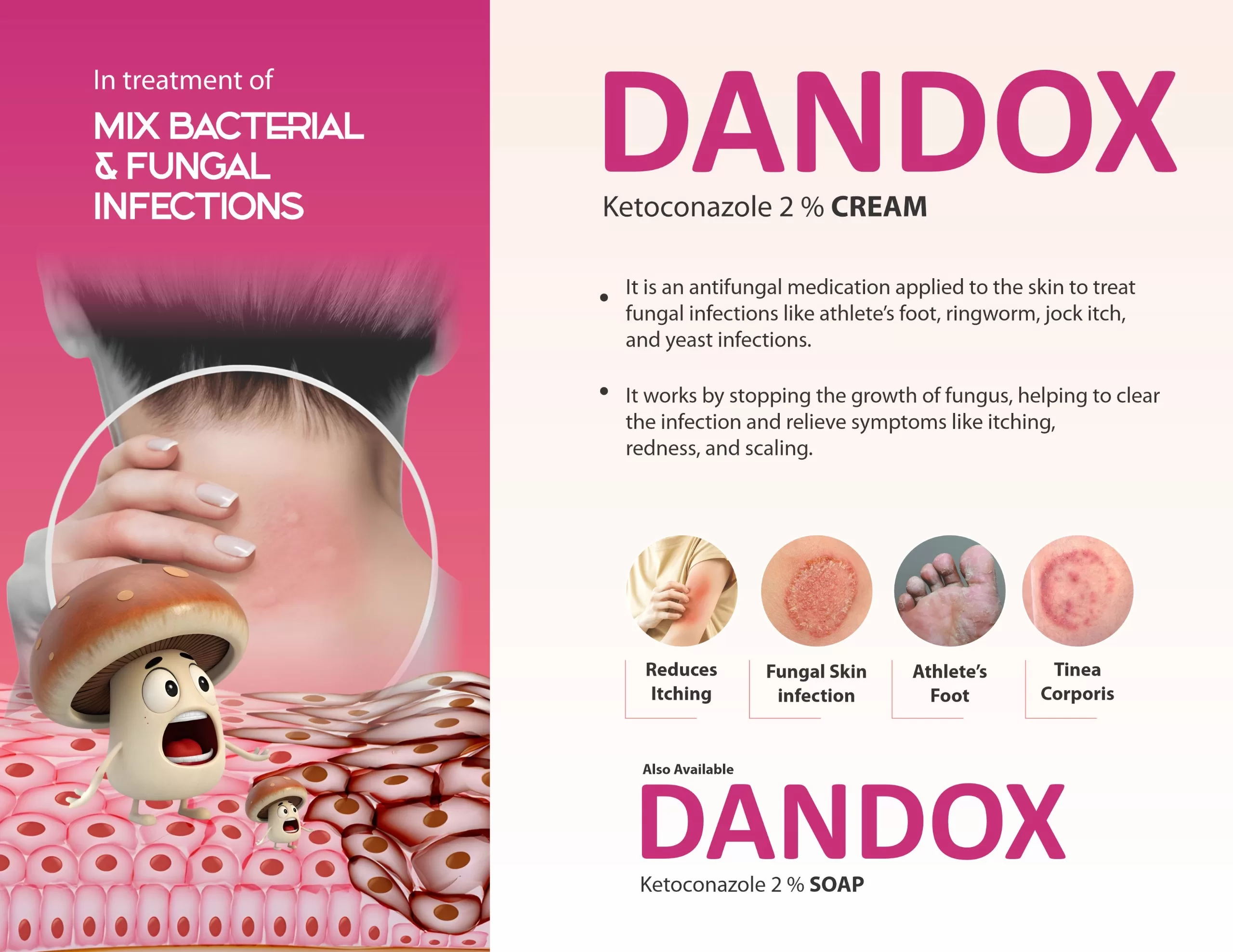 WhatsApp Image 2025-10-08 at 3.25.02 PM (1)